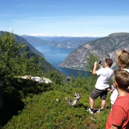 別荘 7 Person In Laerdal Lærdalsøyri
